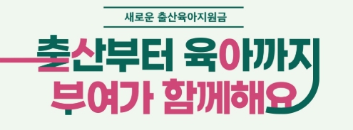 부여군 출산육아지원금 제도