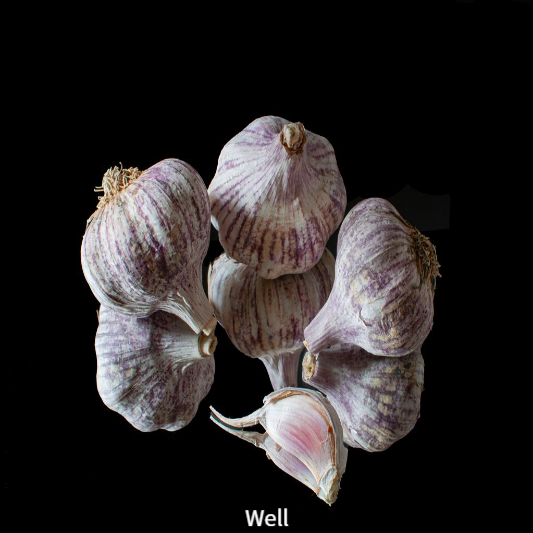 비염에 좋은음식