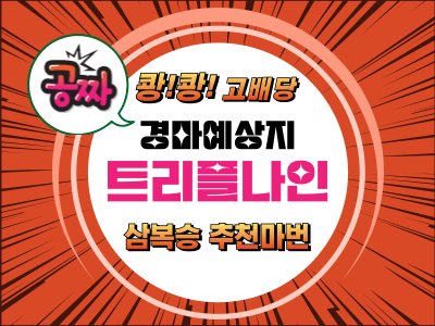 고배당 삼복승 추천 트리플나인 무료 경마예상지