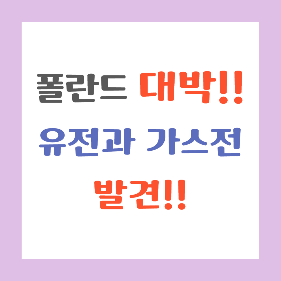 폴란드 대박!!
유전과 가스전
발견!! 썸네일 이미지