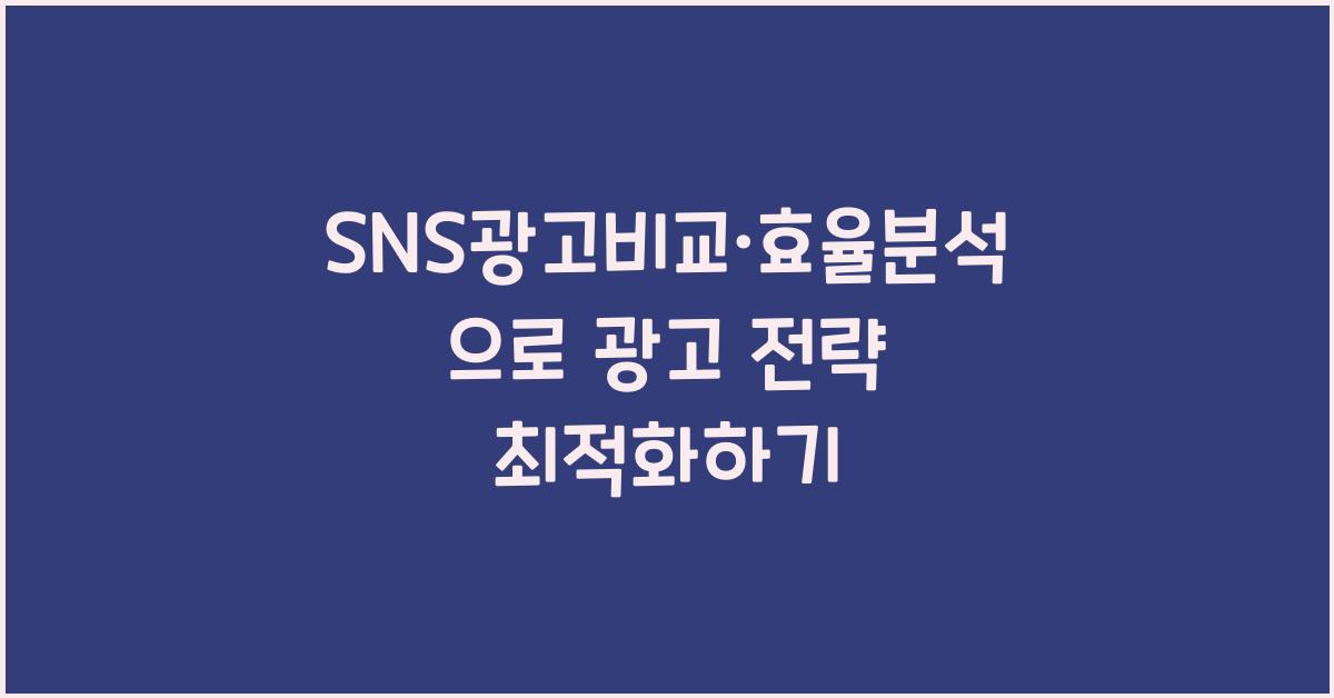 SNS광고비교·효율분석