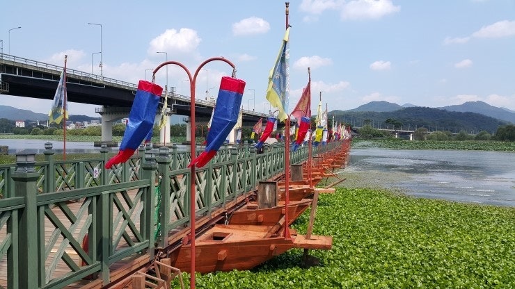 양평 세미원의 전통 배다리 전경｜한강 수변을 따라 이어지는 연꽃길과 목재 다리 풍경