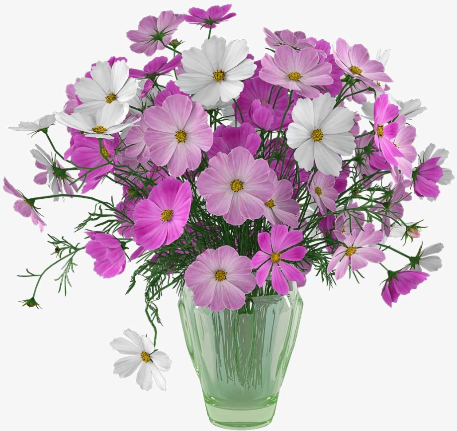 가을에 피는 꽃 종류 해바라기-코스모스