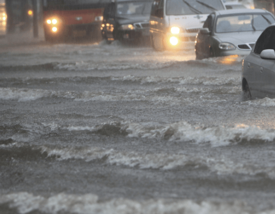 집중호우 (폭우) 피해 재난지원금