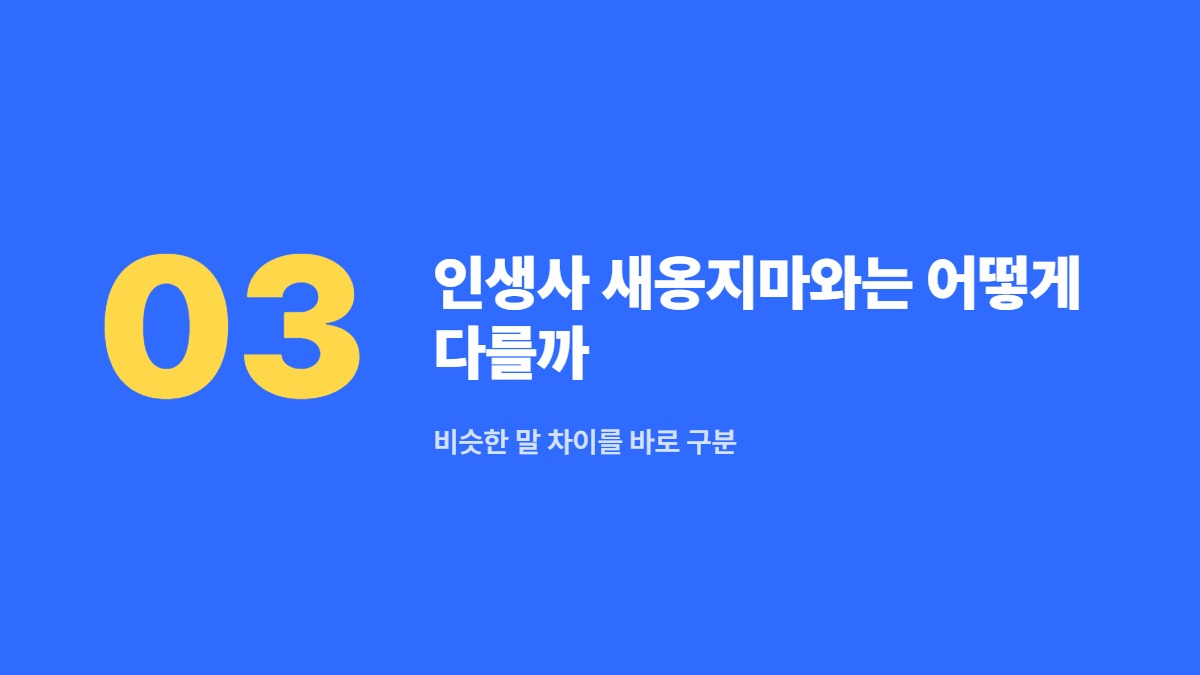 인생사 새옹지마와는 어떻게 다를까 — 비슷한 말 차이를 바로 구분