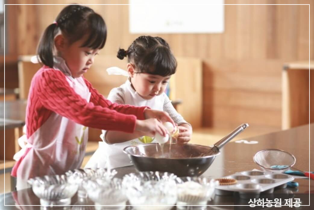고창 가볼만한곳 베스트10 상하농원