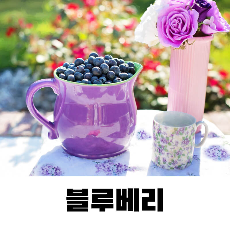 블루베리