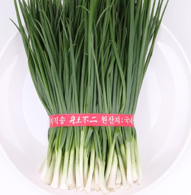 쪽파 재배 방법, 키우기, 씨 심는 시기, 파종 시기, 수확시기