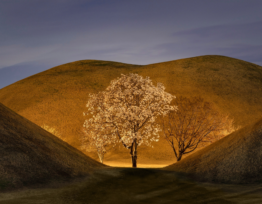경주 대릉원 야경