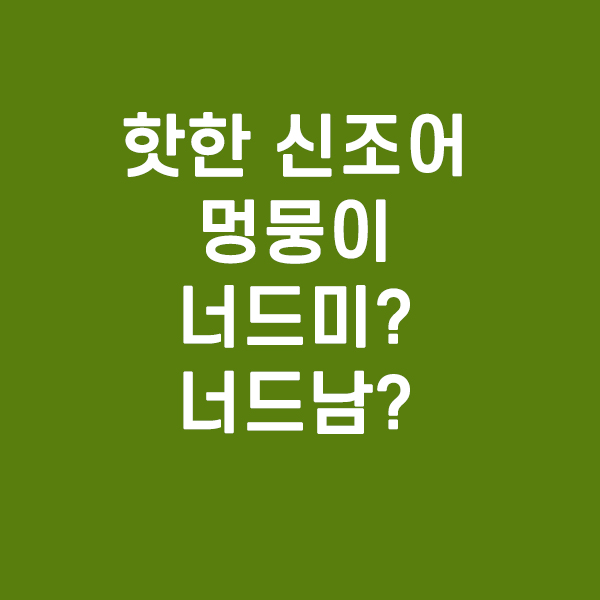 핫한 신조어 - 멍뭉이, 너드미, 너드남