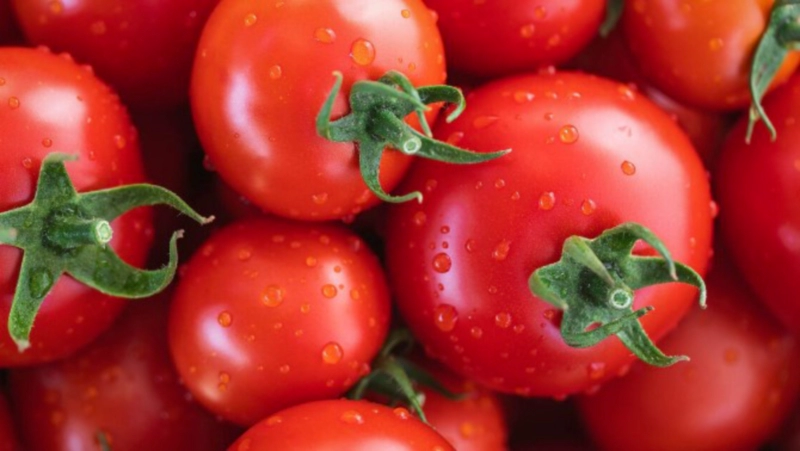 솔라닌의 부작용은?