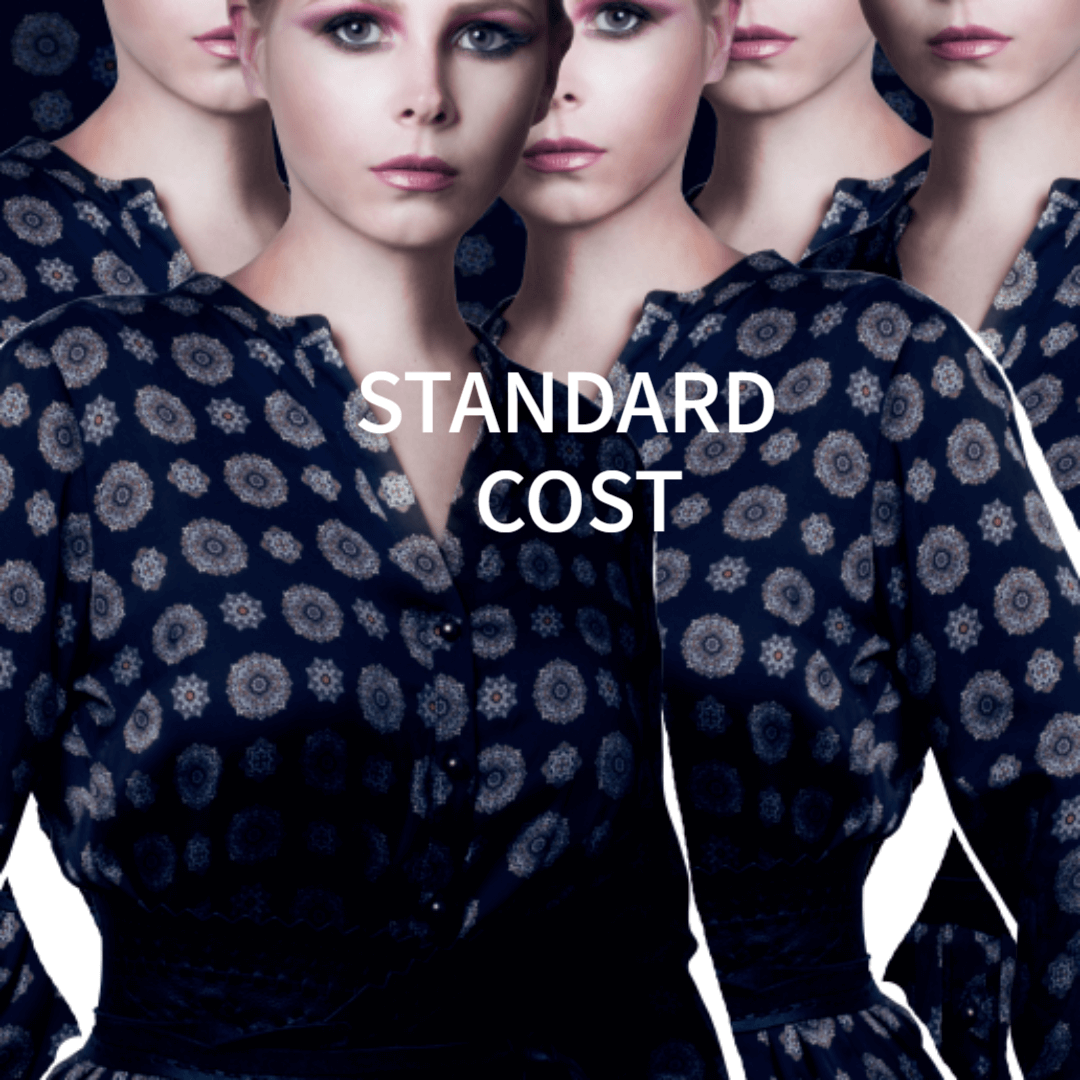 표준원가(Standard Cost)를 비유한 그림