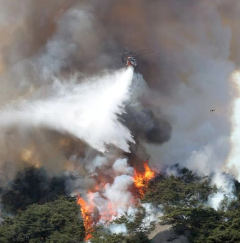 인왕산 산불 진화 98% 소식