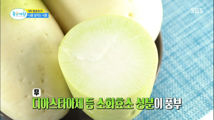 대장 건강 생식 식이섬유 효소 영양소