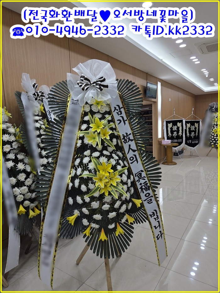 영주화환전문점 영주꽃집