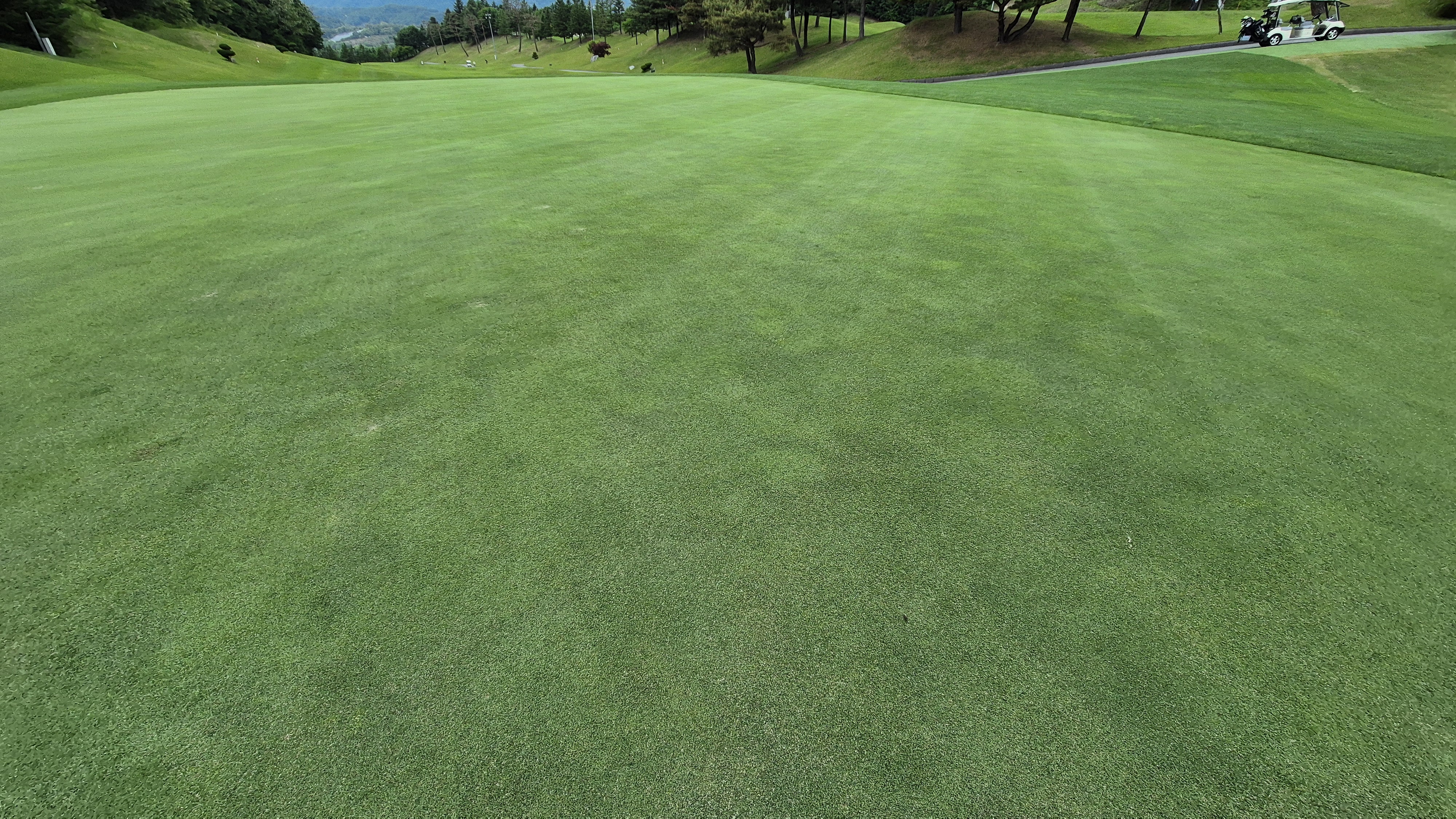 파크밸리gc 라운드 후기