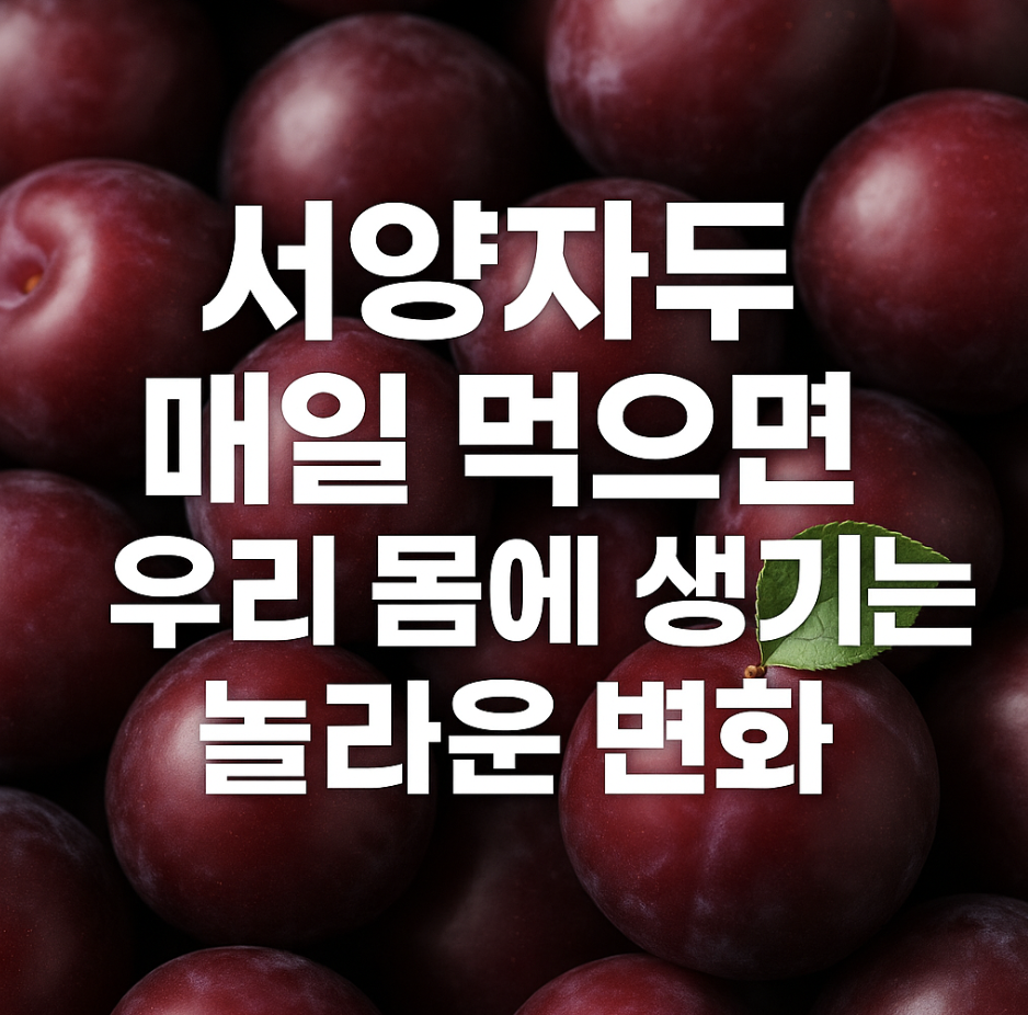 서양자두, 매일 먹으면 우리 몸에 생기는 놀라운 변화