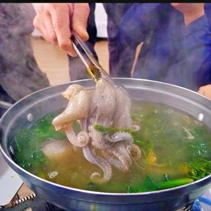 생생정보 충남 서천 주꾸미 한 상 맛집