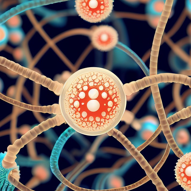 신경세포 관련 사진