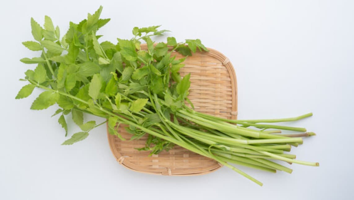 고수 vs 미나리: 향이 강하다는 공통점, 그 외엔 천지차이