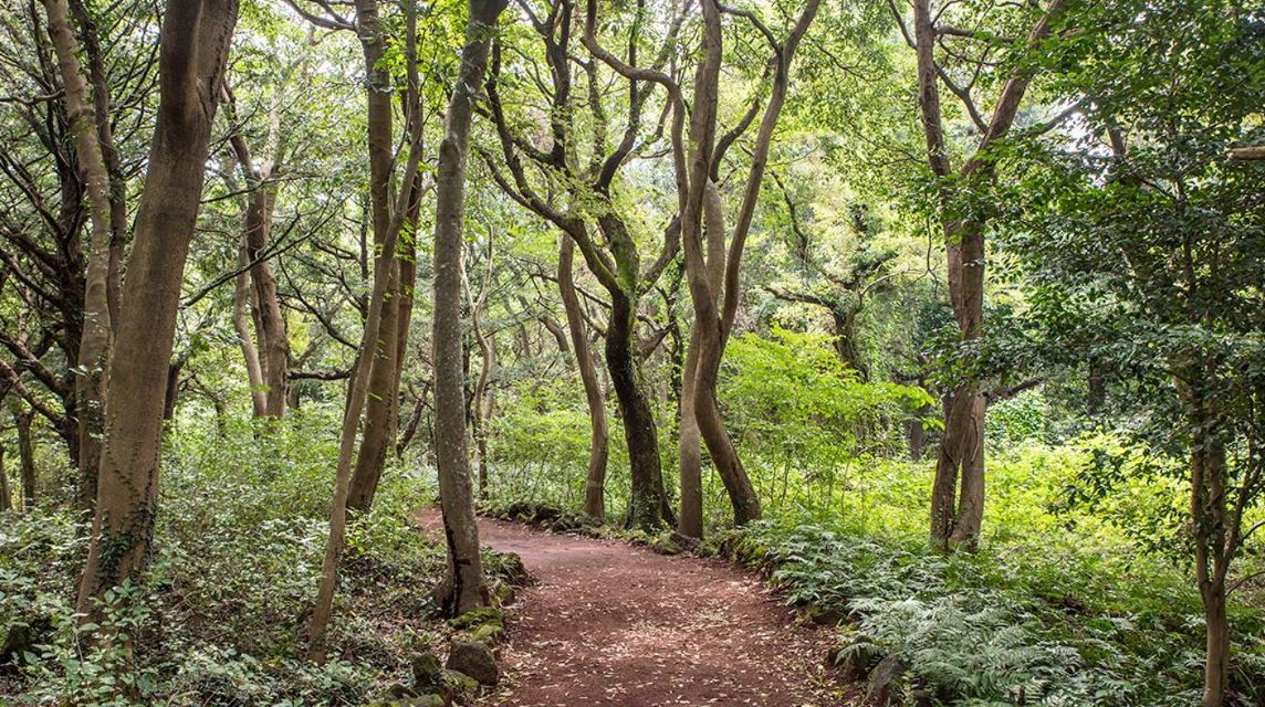제주도 가볼만한곳 베스트10