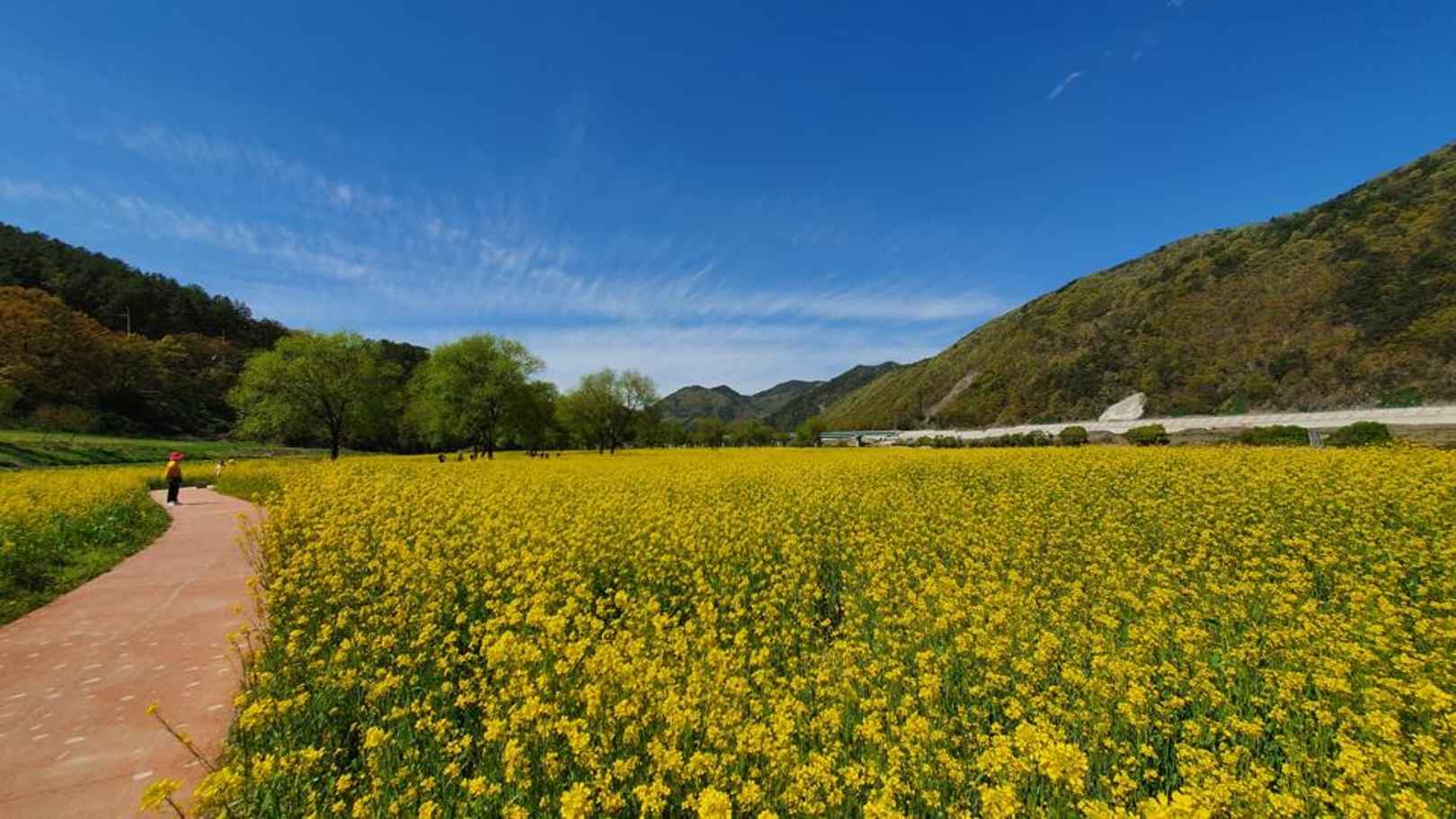 옥천금강수변 친수공원