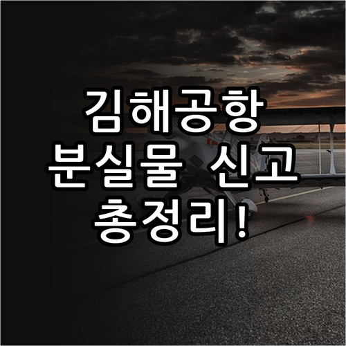 김해공항 분실물 신고 방법 및 항공사..