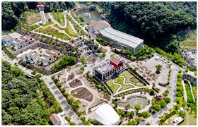 용인 자작나무숲 봄꽃 축제