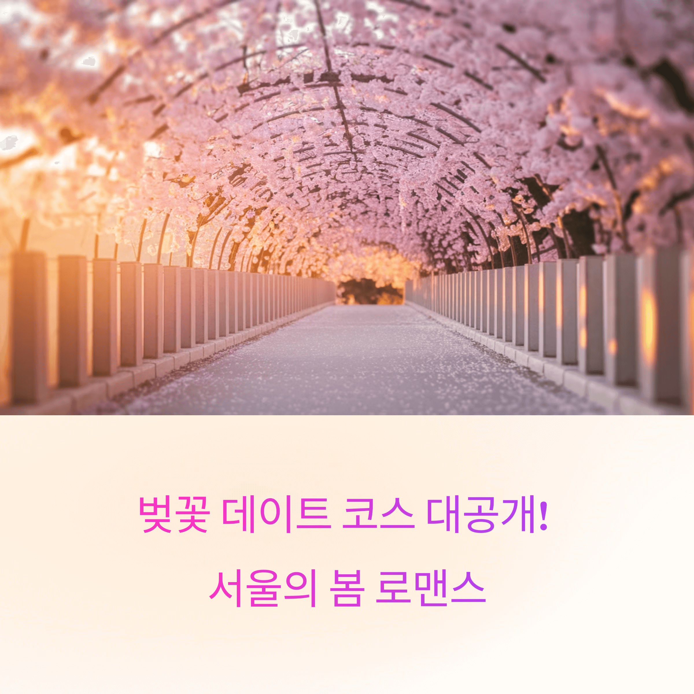 벚꽃 데이트 코스 추천, 로맨틱한 하루를 위한 완벽 가이드