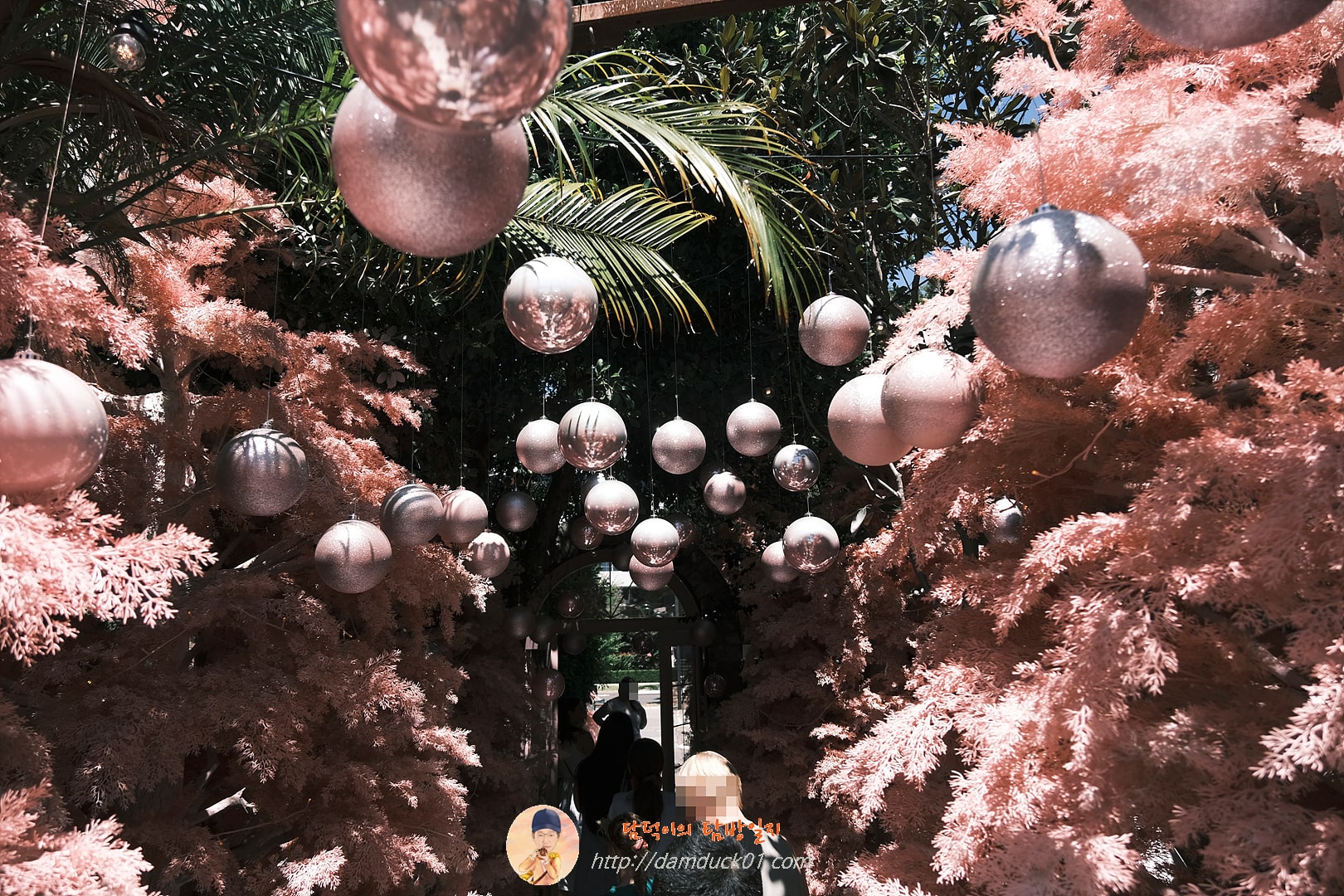 더 그라운즈 오브 알렉산드리아(The Grounds of Alexandria)