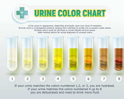 남자 소변에서 피가 나오는 증상 혈뇨