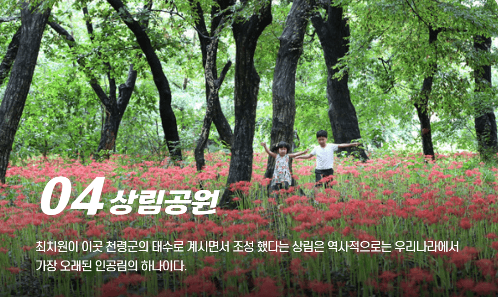 함양 관광 명소 (여행지)-상림공원