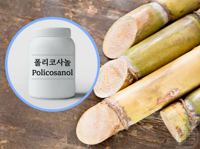 콜레스테롤 낮추는 영양제 추천 폴리코사놀