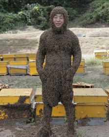 서암벌꿀