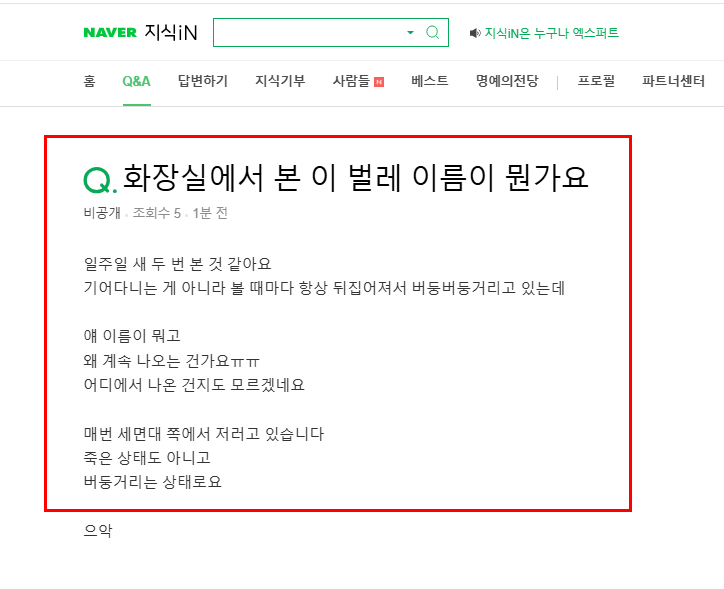 화장실에 출몰하는 벌레 질문 지식인