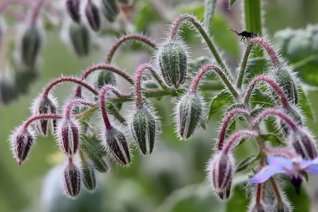 쿠쿠 정수기 코크살균 방법 및 위생관리 가이드_4