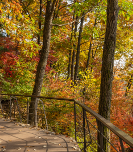 화담숲 예약 모노레일 예약 관람방법