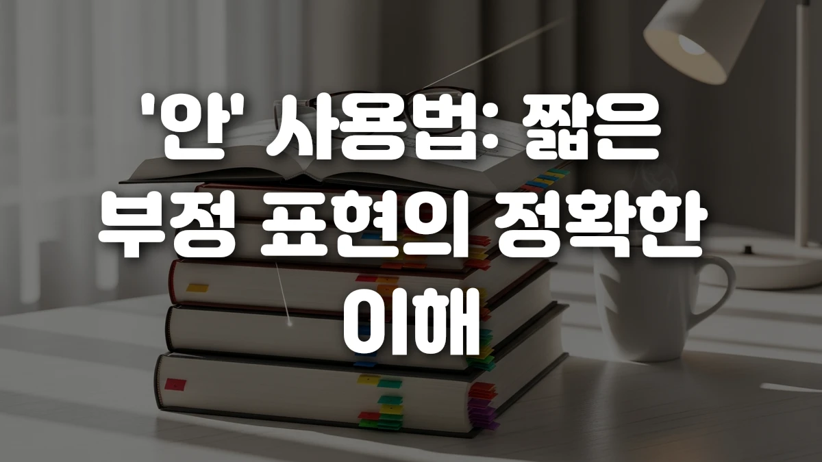 안 사용법 짧은 부정 표현의 정확한 이해