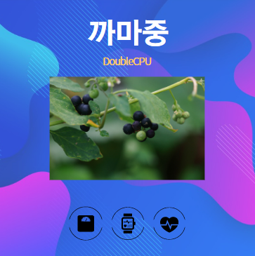 까마중 알아보기