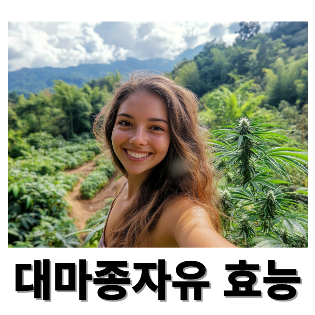 대마종자유와 관련된 사진입니다.