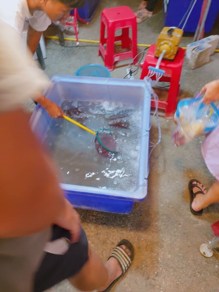 런웨이스트릿푸드 야시장