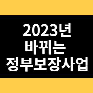 2023년 바뀌는 정부보장사업 썸네일
