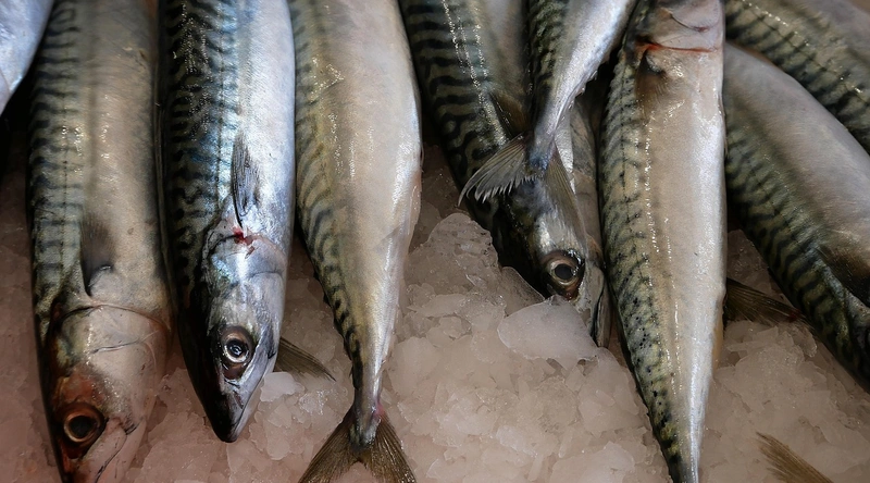 정기 점검의 중요성