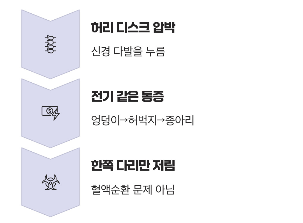 허리가 아닌 다리가 보내는 경고