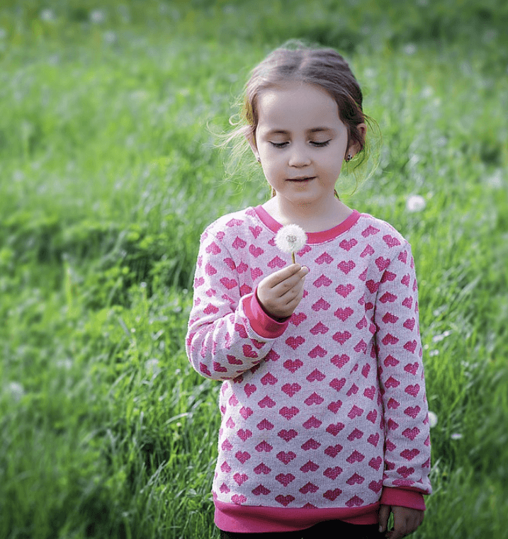 양육비 선지급제