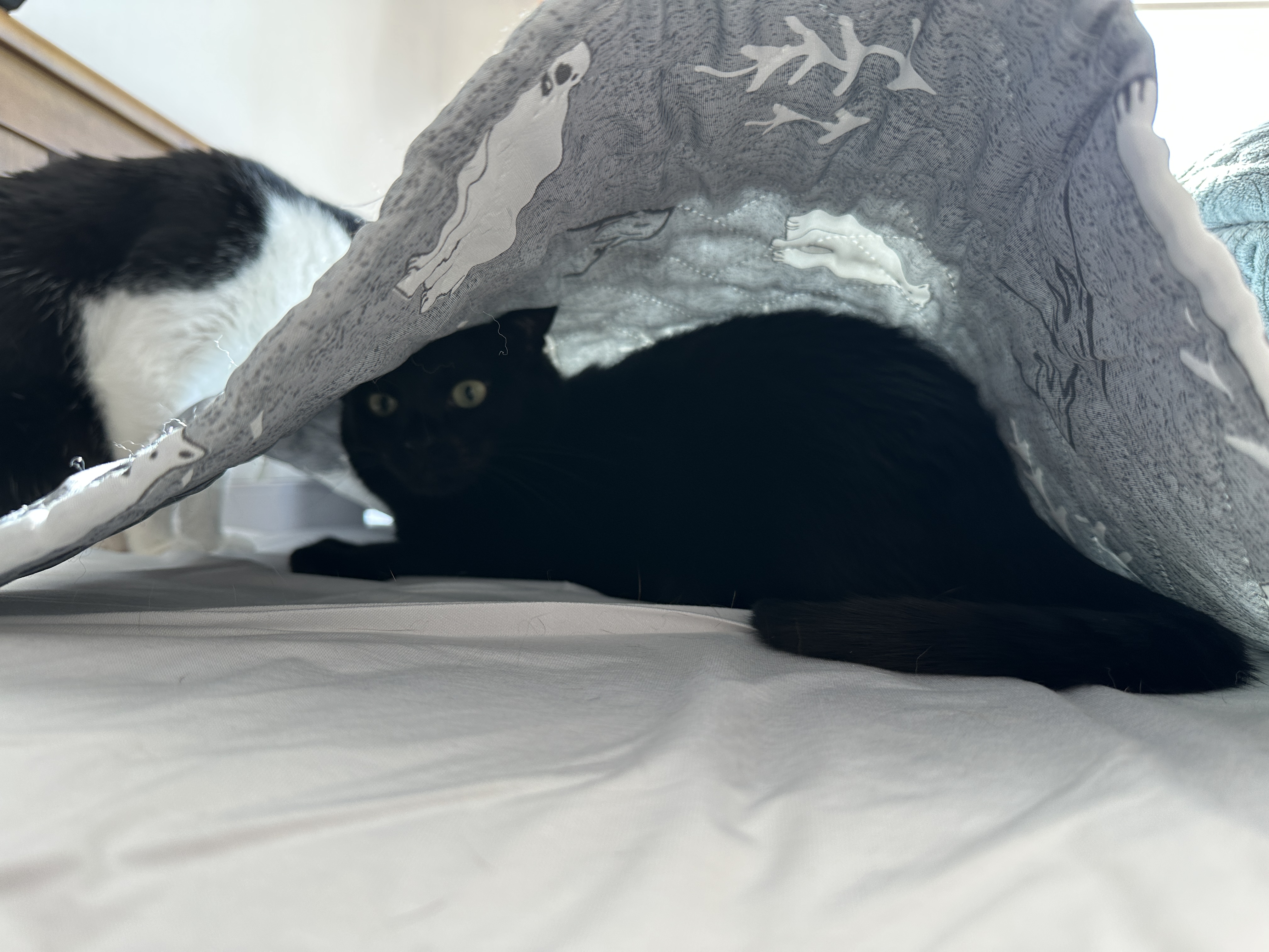 눈으로_안나가!_를_보여주는_건이