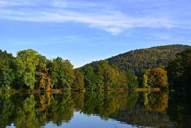 조경학 기반 음향경관 설계와 청각 중심 공간 조성