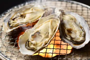 통영 생굴 1KG 가격&amp;#44; 굴 효능 및 영양소