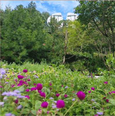 화담숲 운영시간과 입장 마감 시간 정확히 알아보기.