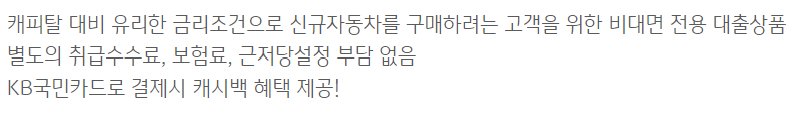 국민은행 자동차대출